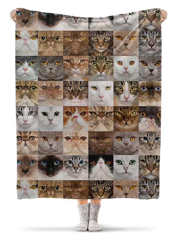 Printio Плед флисовый 130×170 см Кошки. креатив