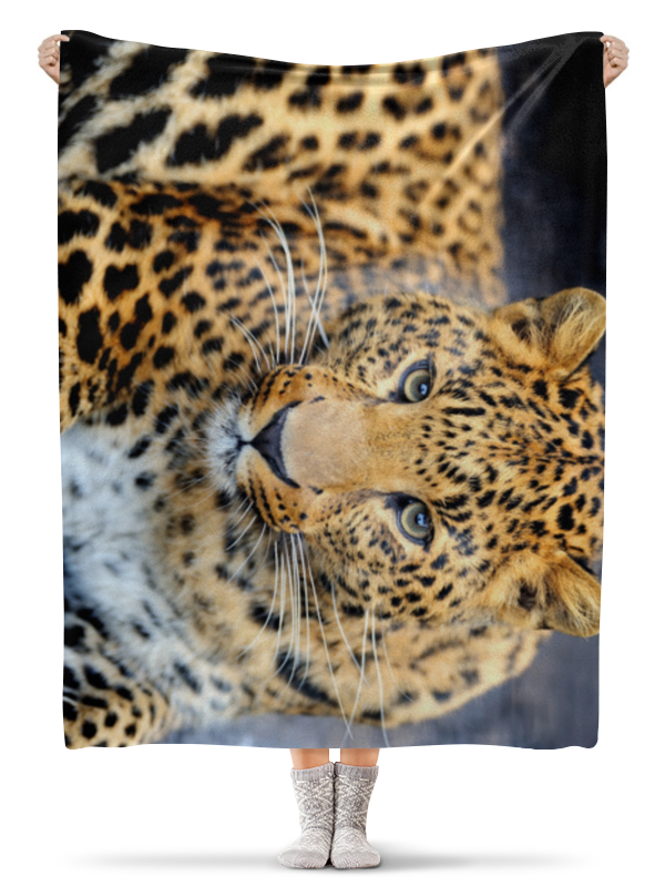 Printio Плед флисовый 130×170 см Кошка цена и фото