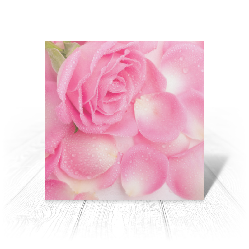 printio коробка для чехлов капли на лепестках розы Printio Открытка 15x15 см Капли на розовых лепестках