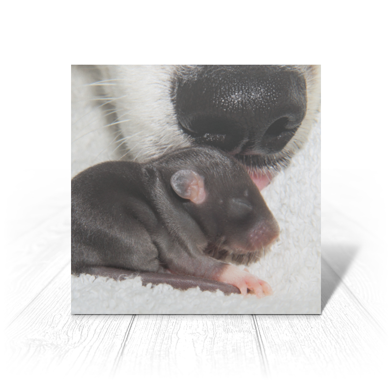 Printio Открытка 15x15 см Крыса символ 2020 года printio коврик для мышки сердце крыса символ 2020 года