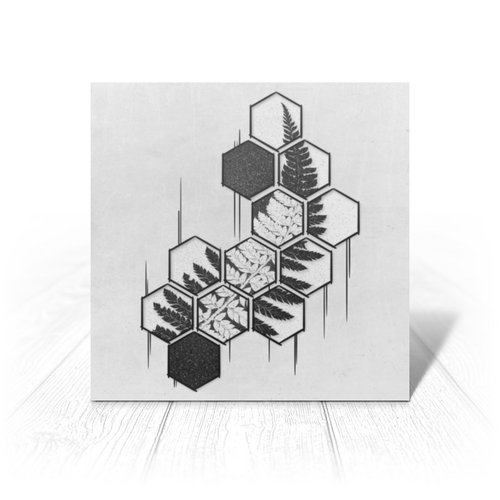 Заказать открытку в Москве. Открытка 15x15 см Папоротник от oneredfoxstore@gmail.com - готовые дизайны и нанесение принтов.