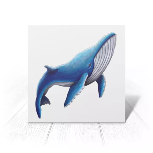 Заказать открытку в Москве. Открытка 15x15 см Синий кит от tigerda  - готовые дизайны и нанесение принтов.