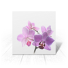 Заказать открытку в Москве. Открытка 15x15 см Орхидея от Оксана Музыка - готовые дизайны и нанесение принтов.