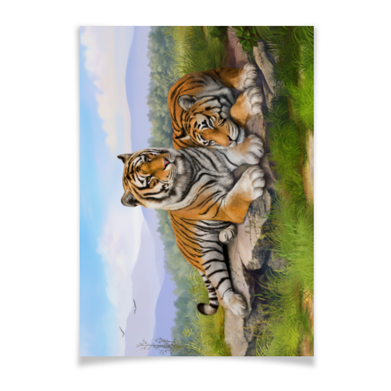 Printio Плакат A3(29.7×42) Тигры