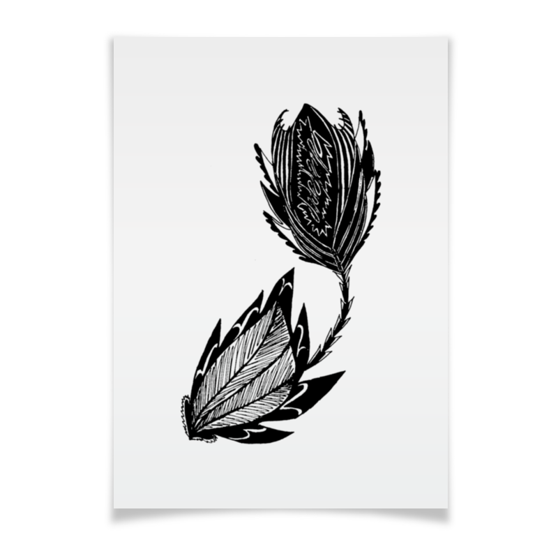 Printio Плакат A3(29.7×42) Черный цветок