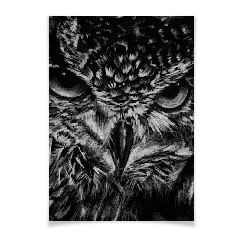 Printio Плакат A3(29.7×42) Черно-белая сова printio плакат a3 29 7×42 рыжая сова индеец