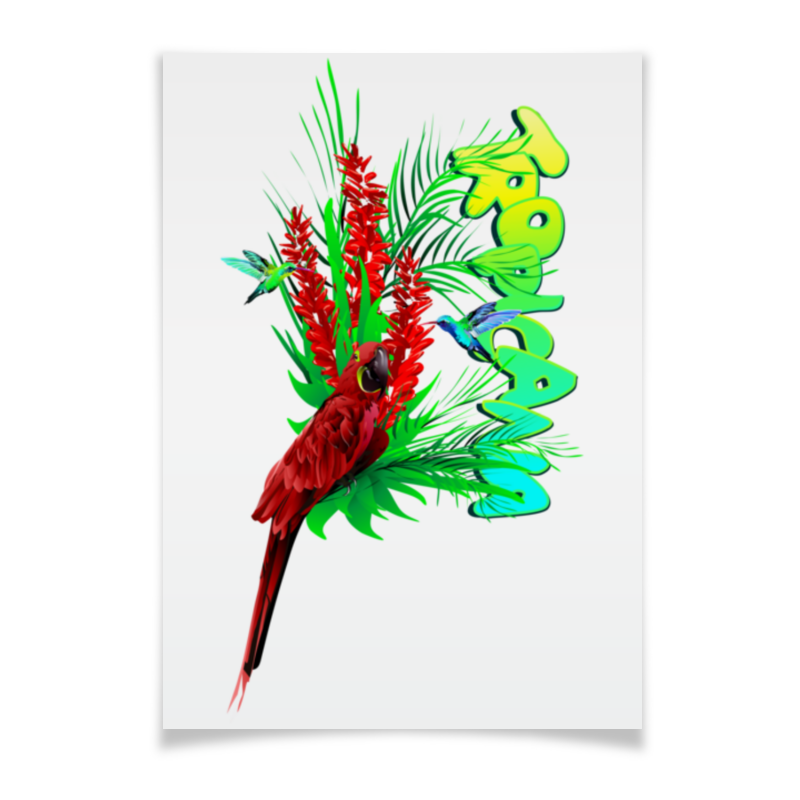 Printio Плакат A3(29.7×42) Tropicana. платье ascool малиновое с птицами 42 размер новое