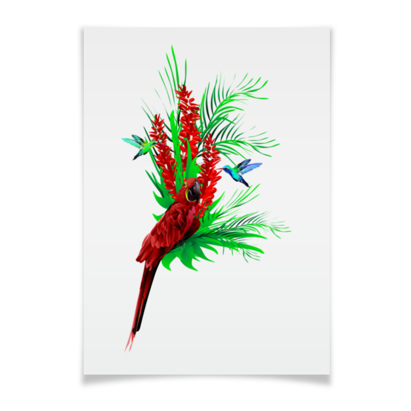 Printio Плакат A3(29.7×42) Тропические птицы от зорго арт. плакат птицы
