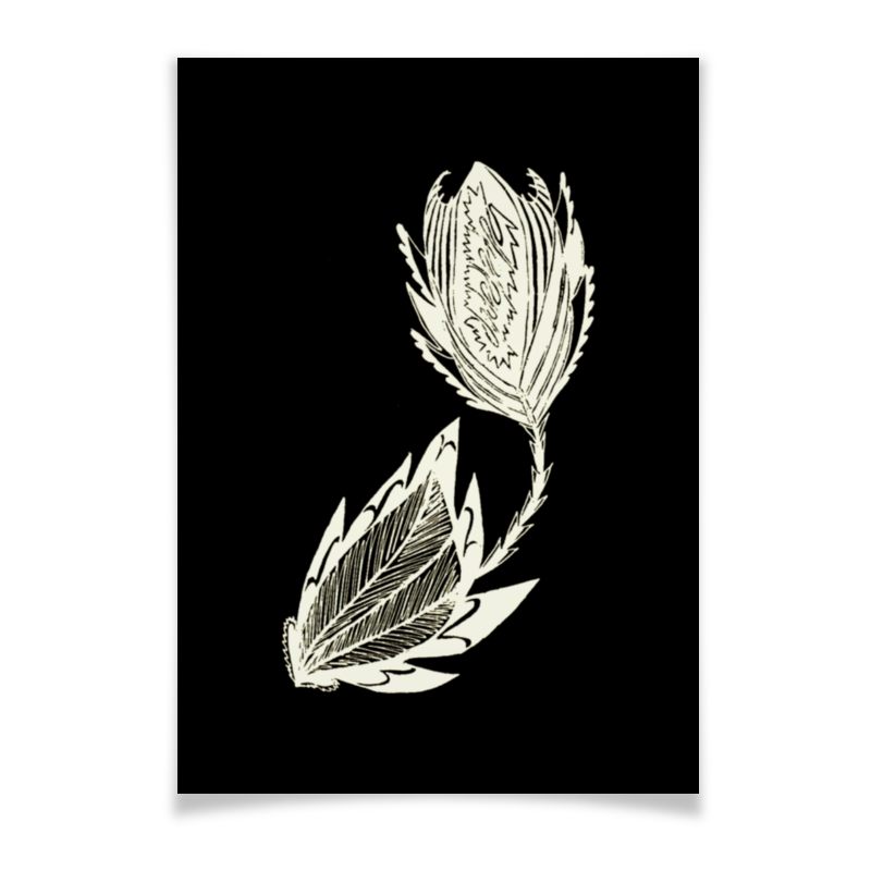 Printio Плакат A3(29.7×42) Цветок сепия на черном