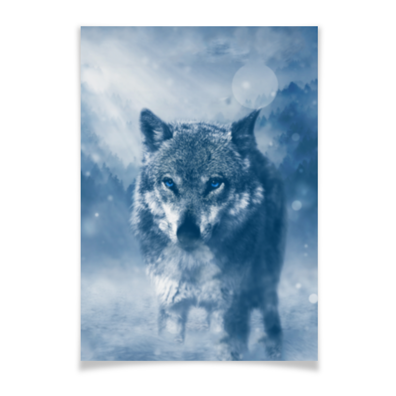 цена Printio Плакат A3(29.7×42) Волк с голубыми глазами