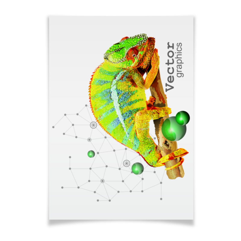 Printio Плакат A3(29.7×42) Хамелеон. векторная графика. printio плакат a3 29 7×42 зеленый хамелеон на ветке