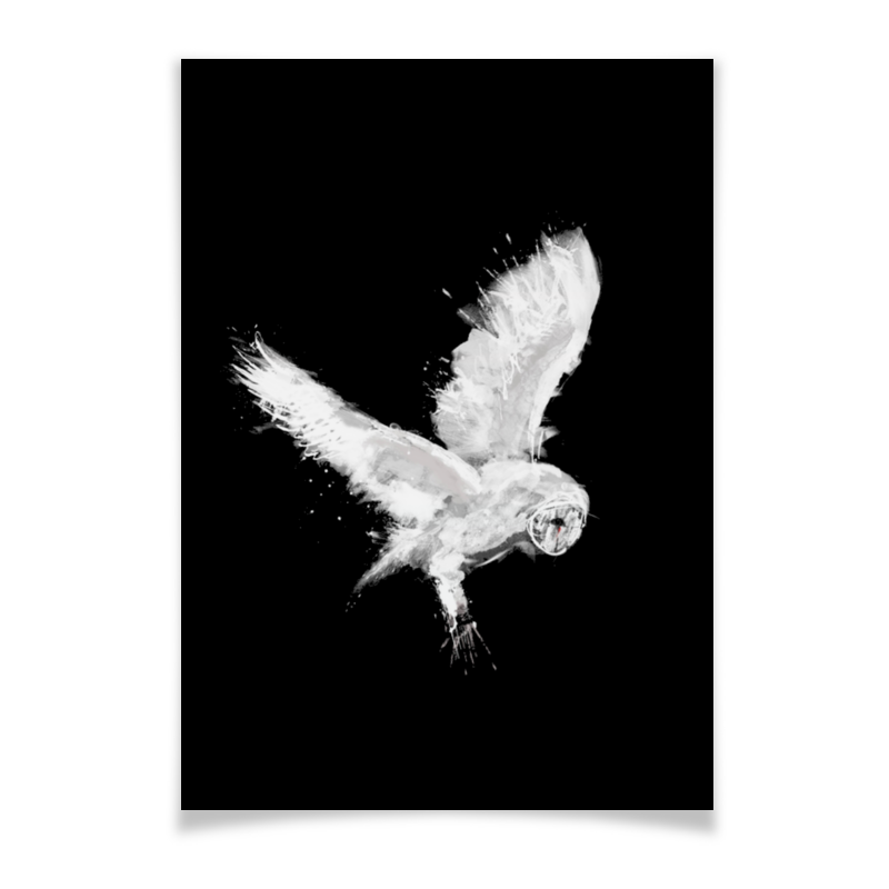 Printio Плакат A3(29.7×42) Белая сова мудрая сова белая на черном