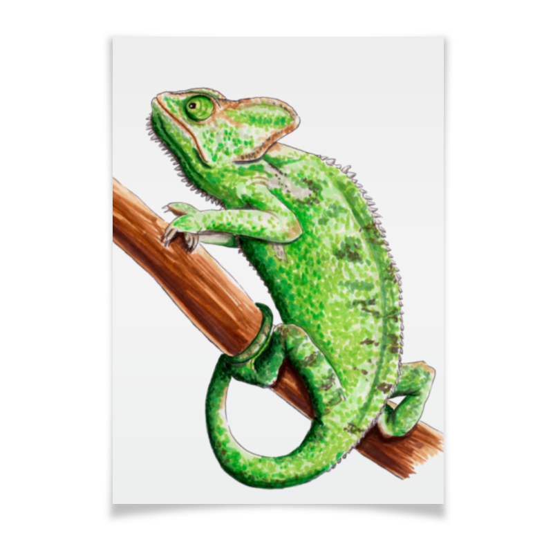 цена Printio Плакат A3(29.7×42) Зеленый хамелеон на ветке