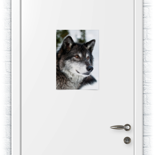 Заказать плакат в Москве. Плакат A3(29.7x42) Серый волк от weeert - готовые дизайны и нанесение принтов.