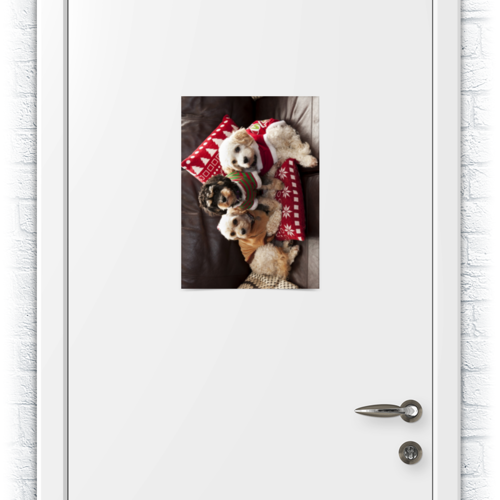 Заказать плакат в Москве. Плакат A3(29.7x42) Собачки от Елена Гришина - готовые дизайны и нанесение принтов.
