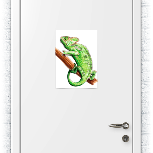 Заказать плакат в Москве. Плакат A3(29.7x42) Зеленый хамелеон на ветке от tigerda  - готовые дизайны и нанесение принтов.