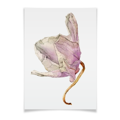 Заказать плакат в Москве. Плакат A3(29.7x42) орхидея высушеная от okonit - готовые дизайны и нанесение принтов.