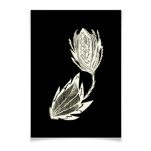 Заказать плакат в Москве. Плакат A3(29.7x42) Цветок сепия на черном от aviva - готовые дизайны и нанесение принтов.