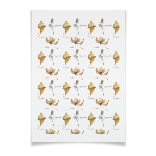 Заказать плакат в Москве. Плакат A3(29.7x42) орхидея лист и колючка от okonit - готовые дизайны и нанесение принтов.