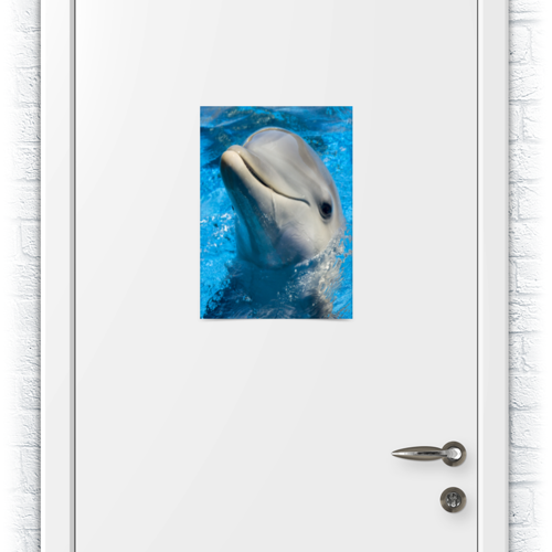 Заказать плакат в Москве. Плакат A3(29.7x42) Дельфин 1 от Аня Лукьянова - готовые дизайны и нанесение принтов.