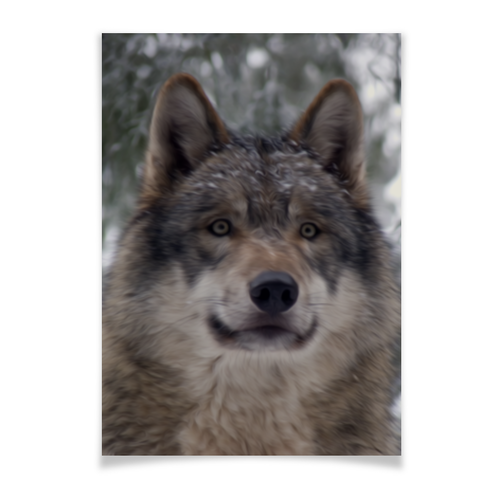 Заказать плакат в Москве. Плакат A3(29.7x42) Волк в лесу от weeert - готовые дизайны и нанесение принтов.