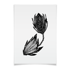 Заказать плакат в Москве. Плакат A3(29.7x42) Черный цветок от aviva - готовые дизайны и нанесение принтов.