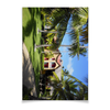 Заказать плакат в Москве. Плакат A3(29.7x42) "Доминикана. Тропический сад" от Marina  - готовые дизайны и нанесение принтов.