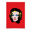 Заказать плакат в Москве. Плакат A3(29.7x42) Che Guevara- Marilyn Monroe от zen4@bk.ru - готовые дизайны и нанесение принтов.