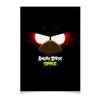 Заказать плакат в Москве. Плакат A3(29.7x42) Space (Angry Birds) от Аня Лукьянова - готовые дизайны и нанесение принтов.