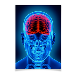 Заказать плакат в Москве. Плакат A3(29.7x42) X-RAY MAN от Jimmy Flash - готовые дизайны и нанесение принтов.