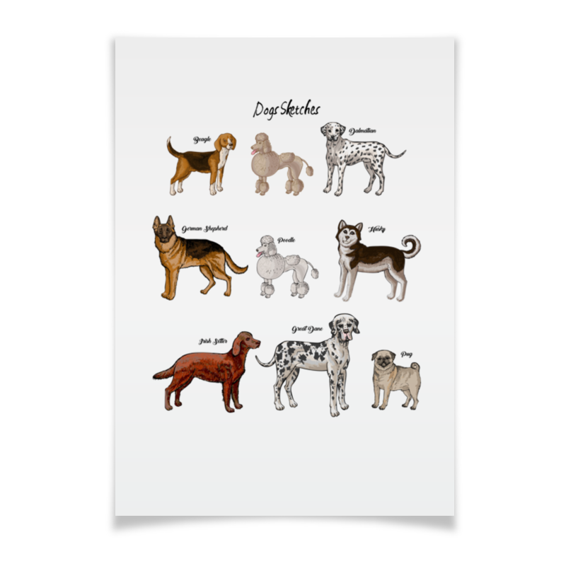 Printio Плакат A2(42×59) Собаки - наши лучшие друзья
