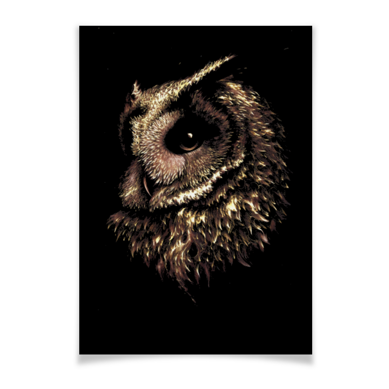 Printio Плакат A2(42×59) Сова на темном фоне printio плакат a2 42×59 черно белая сова