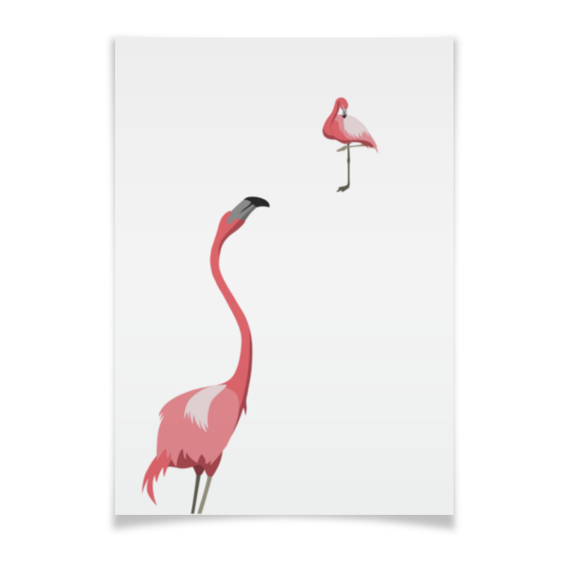 цена Printio Плакат A2(42×59) Тайная любовь розового фламинго
