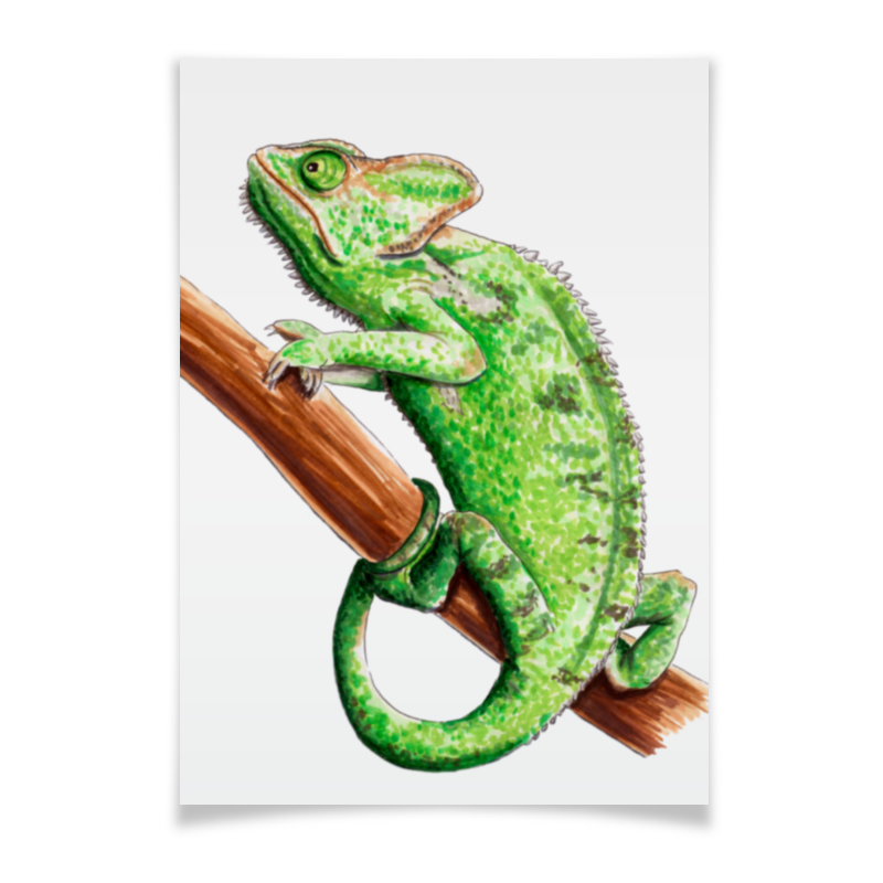 Printio Плакат A2(42×59) Зеленый хамелеон на ветке printio плакат a2 42×59 хамелеон с цветами в пятнах краски
