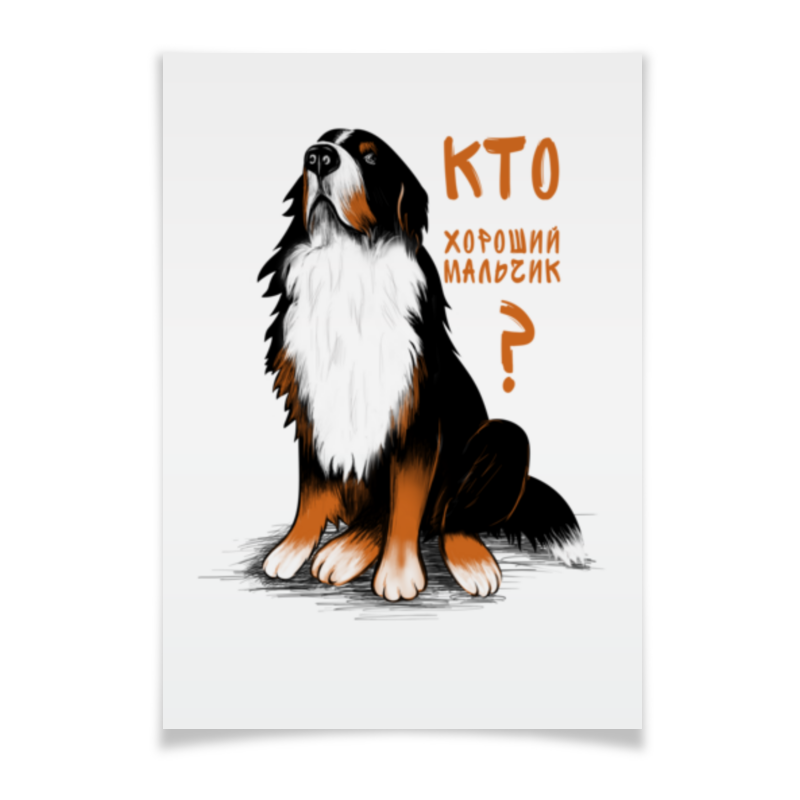 Printio Плакат A2(42×59) Кто хороший мальчик? собака породы бернский зенненхунд раскраска картина по номерам на холсте