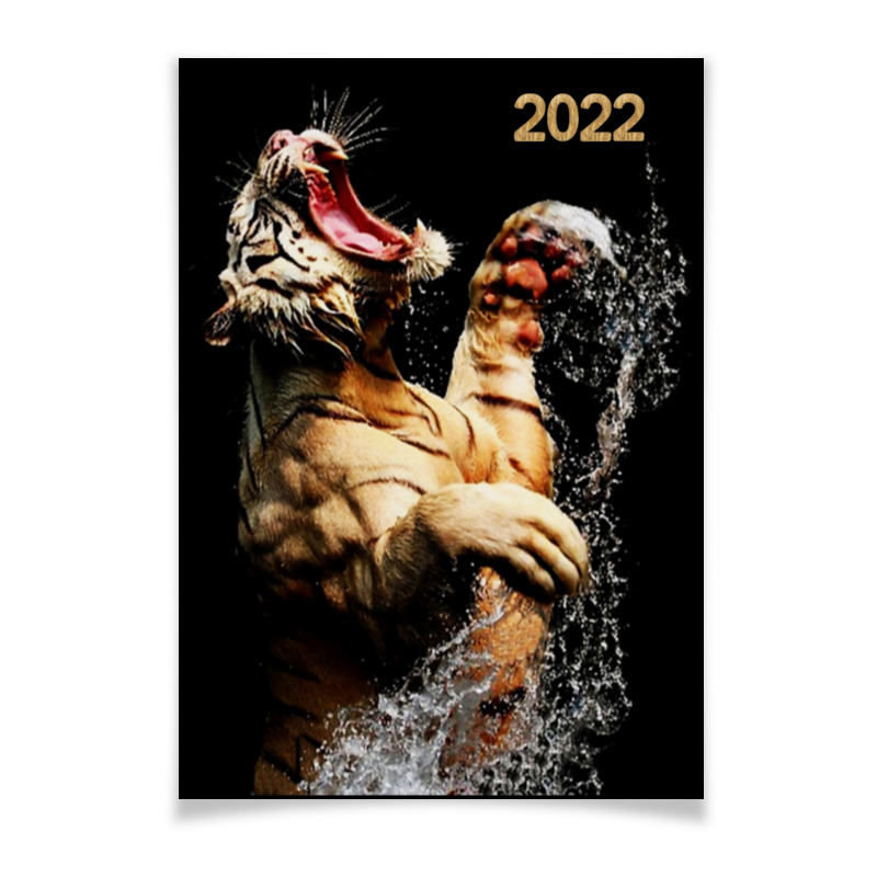 Printio Плакат A2(42×59) Год тигра printio плакат a2 42×59 тяжёлый новый год