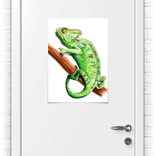 Заказать плакат в Москве. Плакат A2(42x59) Зеленый хамелеон на ветке от tigerda  - готовые дизайны и нанесение принтов.