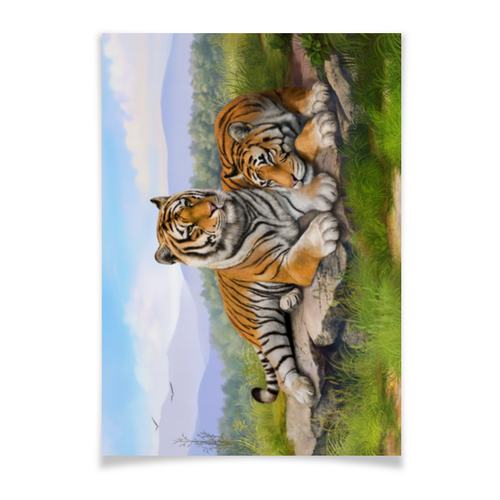 Заказать плакат в Москве. Плакат A2(42x59) Тигры от Елена Гришина - готовые дизайны и нанесение принтов.