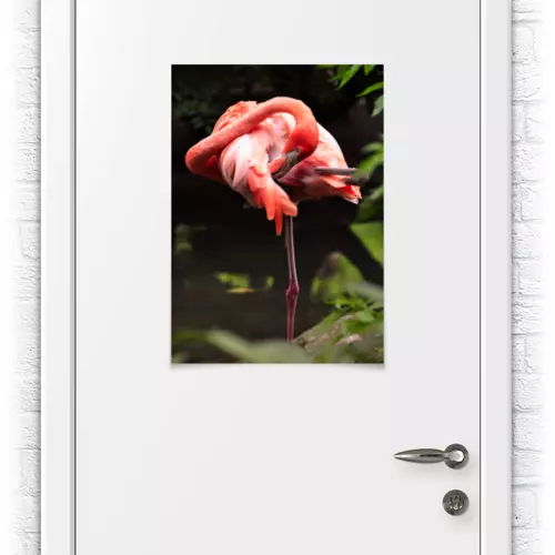 Заказать плакат в Москве. Плакат A2(42x59) Птица от Анна Стасюк - готовые дизайны и нанесение принтов.