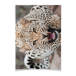 Заказать плакат в Москве. Плакат A2(42x59) Леопард от Виктор Гришин - готовые дизайны и нанесение принтов.