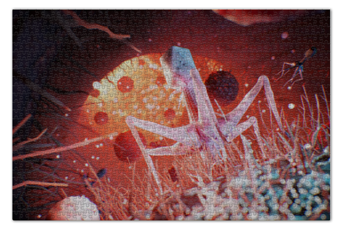 Заказать пазл в Москве. Пазл 73.5x48.8 см (1000 элементов) Virus от Дана Столыпина - готовые дизайны и нанесение принтов.
