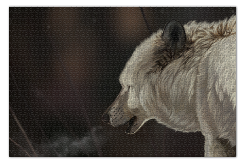 Заказать пазл в Москве. Пазл 73.5x48.8 см (1000 элементов) Lonely wolf от scoopysmith - готовые дизайны и нанесение принтов.