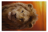Заказать пазл в Москве. Пазл 73.5x48.8 см (1000 элементов) Король Лев от skynatural - готовые дизайны и нанесение принтов.