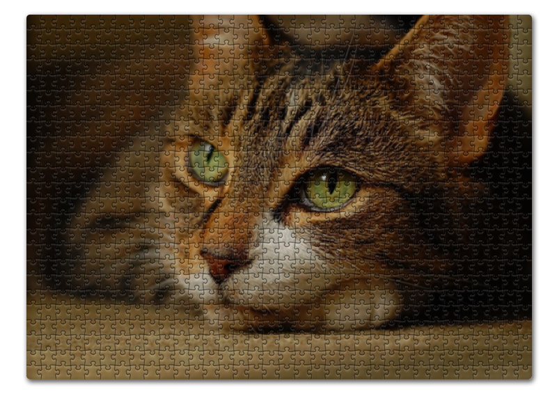 Printio Пазл 43.5×31.4 см (408 элементов) Кошки. магия красоты