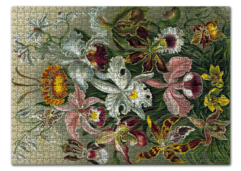 Printio Пазл 43.5×31.4 см (408 элементов) Орхидеи (orchideae, ernst haeckel)