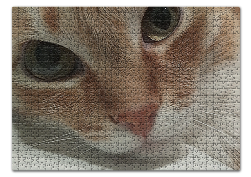 Printio Пазл 43.5×31.4 см (408 элементов) Задумчивый кот пазл щенок и котенок рыжий кот 1000 элементов кб1000 7883