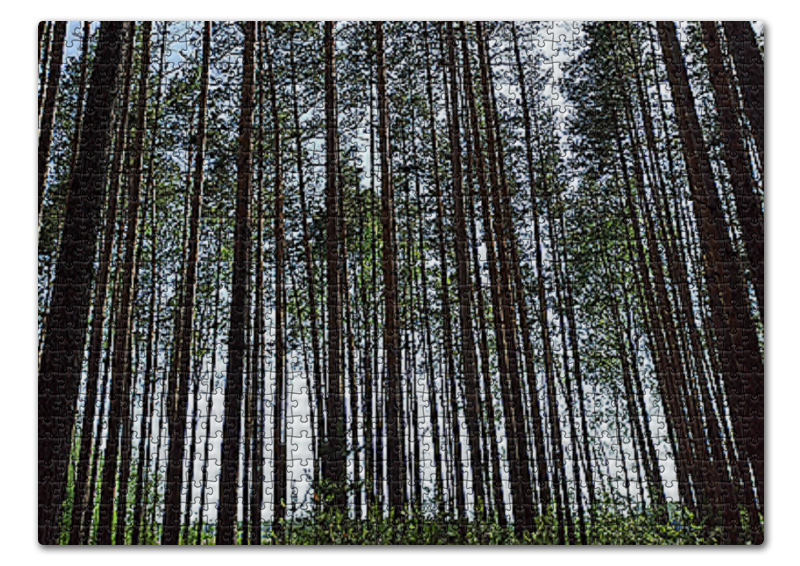 Printio Пазл 43.5×31.4 см (408 элементов) Небо сквозь лес.