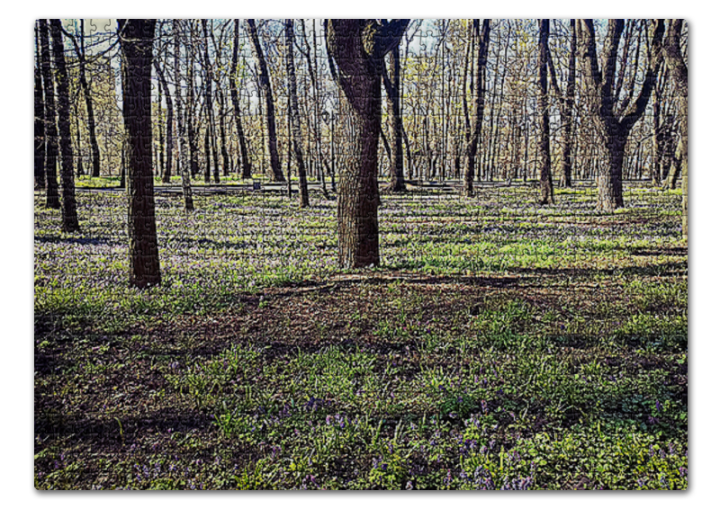 цена Printio Пазл 43.5×31.4 см (408 элементов) Весенний лес.