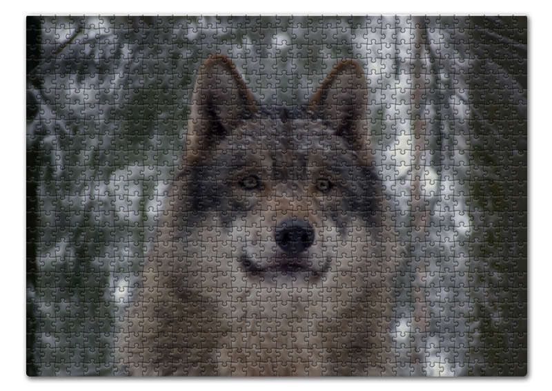 Printio Пазл 43.5×31.4 см (408 элементов) Волк в лесу цена и фото