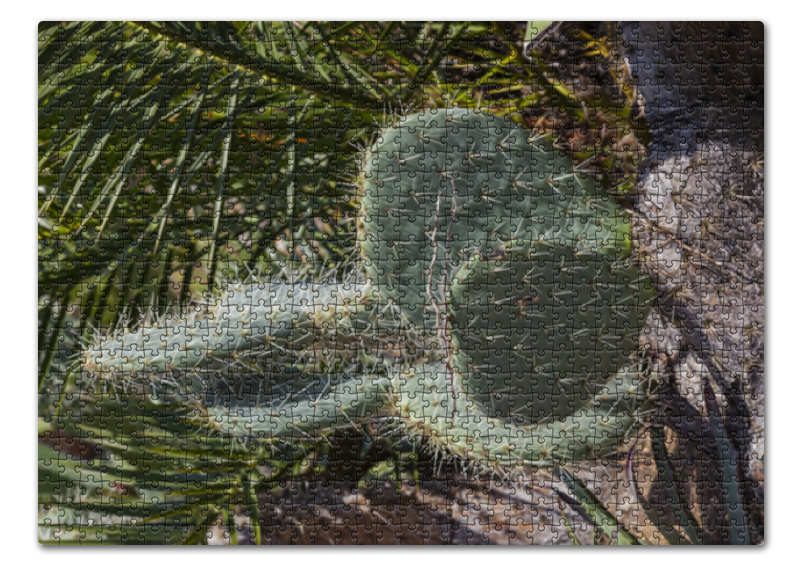Printio Пазл 43.5×31.4 см (408 элементов) Кактус